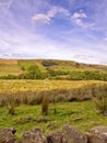 Wycollar country park Royalty Free Stock Photo