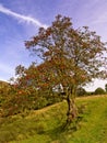 Wycollar country park Royalty Free Stock Photo