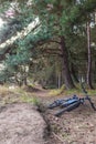 Wylam, Northumberland England: Feb 2022: Ebiking e-bike in north east on a sunny winter day. E-mountain bike parked