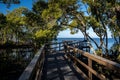 Wynnum Mangrove Boardwalk in Brisbane, Queensland, Australia