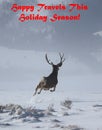 Wyoming Christmas Royalty Free Stock Photo