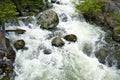 Wyoming Forest Stream