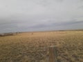 Wyoming prairie on a spring day in April