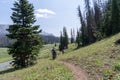 A group of hikers wearing large backpacks hike along the Upper Brooks Lake trail on a hazy day