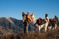 Hunter and his two pack llamas look out on a mountain ridge during a deer hunting trip. Blue sky