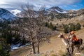 Hunter with a llama uses binoculars to scope and view deer from a distance on a hunting trip