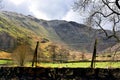 Wythburn Fells and grazing sheeo Royalty Free Stock Photo