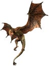 Wyvern 3D illustration Royalty Free Stock Photo