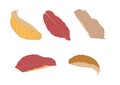 Dry leaf Brown colorful seamless on white background