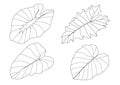 Leaves line single leaf and leaf pattern black Bring to color decorate