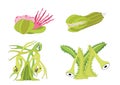 Carnivorous plants design green on white background illustration