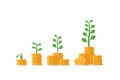 Tree growing on coins stack with Mutual fund, Income increase