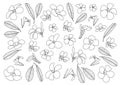 Line frangipani flowers close up beautiful plumeria pattern design on white background