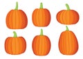 Pumpkin halloween design on white background