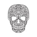 Skull. Black line vector illustration in doodling style isolated on white background.