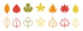 Red orange yellow Japanese autumn leaves, autumn maple fallen leaves, vector icon illustration material set Royalty Free Stock Photo