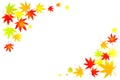 Autumn sale banner template design with maple leaves. Vector background illustration material