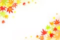 Autumn leaves image, autumn maple text space vector background illustration material