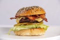 X bacon salada burguer hamburguer lanche