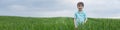 4x1 banner for social networks and websites. A 6-year-old boy walks in a green summer rye field Royalty Free Stock Photo