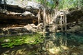 X-Batun Cenote - turquoise fresh water with water lilies