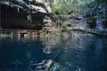 X-Canche cenote in Yucatan peninsula, Mexico.