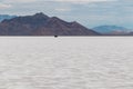 A 4x4 car driving on Bonneville Salt Flats in western Utah with Silver Island Mountains peaks in background, Wendover, USA, Royalty Free Stock Photo