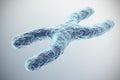 X-Chromosome on grey background. with depth of field effect, scientific concept. 3d illustration Royalty Free Stock Photo