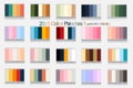 20x5 Color Palettes 1 with Hex Codes Vector, Discover 20 Sets of Vibrant Vector Color Palettes ,Light, Dark, Vintage, Retro, New