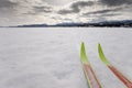 X-country ski winter sport Royalty Free Stock Photo