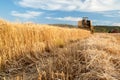 Wheat harvest season Royalty Free Stock Photo