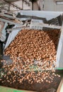 The working of almonds