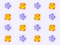 Decorative floral pattern with yellow red flower of wallflower and blue flower of periwinkle