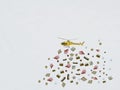 Flying helicopter money throwing banknote and coin to ground on white background Royalty Free Stock Photo