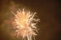 Blurry fireworks explosive on dark sky in night