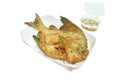 crispy fried gray butterfish or silver pomfret dipping with spicy seafood chili sauce Royalty Free Stock Photo