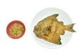 crispy fried gray butterfish or silver pomfret dipping with spicy seafood chili sauce Royalty Free Stock Photo