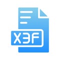 X3f document format icons. symbol extension with gradient fill style Royalty Free Stock Photo