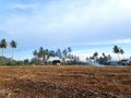 & x22;Harvest Home: A Serene View of a Small House Amidst the Rice Fields, Bathed in Glowing Sunlight and Misty Smoke& x22; Royalty Free Stock Photo