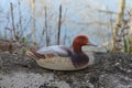 `The Decoy` vintage hand made mid century hunting duck decoy