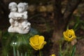 `Zen Garden` tulips in bloom with a statue Royalty Free Stock Photo