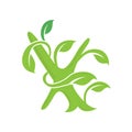 X letter ecology nature element vector icon logo design