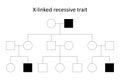 X-linked recessive trait.