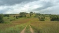 4x4 Off road dirt track in Nyika National park in Malawi, Africa Royalty Free Stock Photo