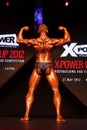 X-POWER cup 2012 Royalty Free Stock Photo
