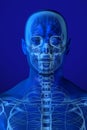 X-ray Anatomy on Blue Royalty Free Stock Photo