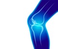 X-ray anatomy of the knee joint and human leg Royalty Free Stock Photo