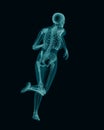 X-ray anatomy of running woman