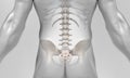 X-Ray body of lower spine on male body Royalty Free Stock Photo