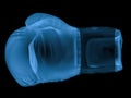 X ray boxing glove isolated on black Royalty Free Stock Photo